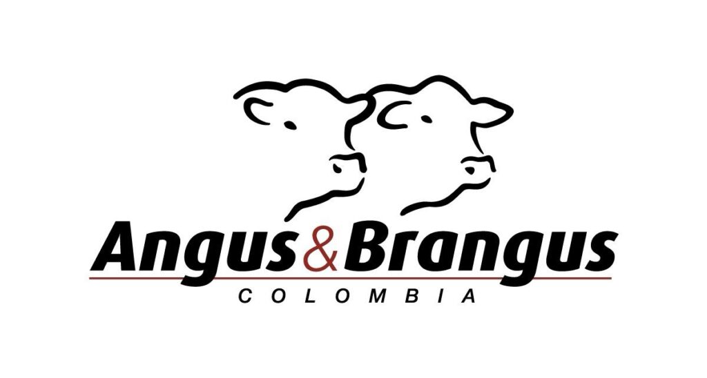 Angus Brangus