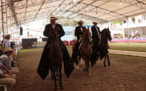 Exposición Equina